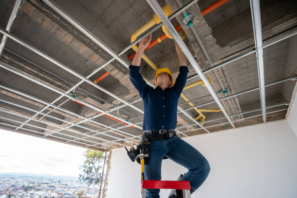 Best Emergency Plumber  in Spring City, TN