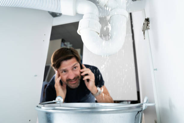 Best Plumbing Services Near Me  in Spring City, TN