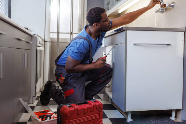 Best Plumbing Inspection Services  in Spring City, TN
