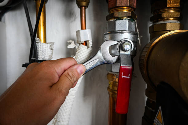 Best Local Plumber Services  in Spring City, TN